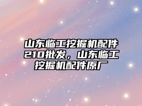 山東臨工挖掘機(jī)配件210批發(fā)，山東臨工挖掘機(jī)配件原廠