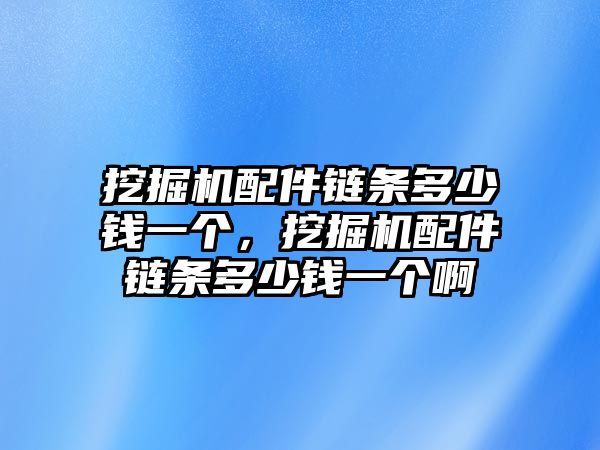 挖掘機(jī)配件鏈條多少錢(qián)一個(gè)，挖掘機(jī)配件鏈條多少錢(qián)一個(gè)啊