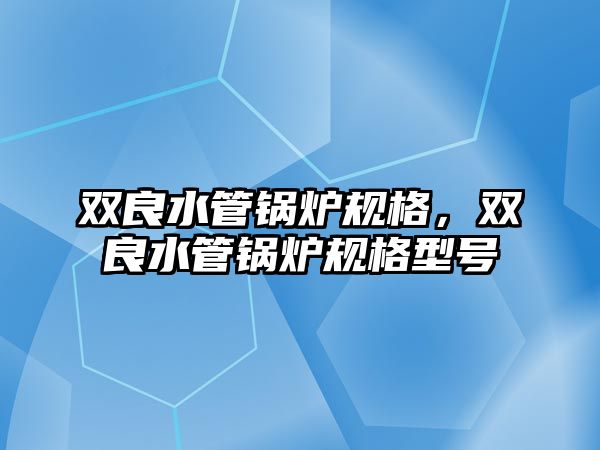 雙良水管鍋爐規(guī)格，雙良水管鍋爐規(guī)格型號