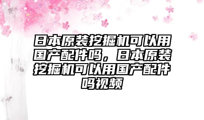 日本原裝挖掘機可以用國產(chǎn)配件嗎，日本原裝挖掘機可以用國產(chǎn)配件嗎視頻