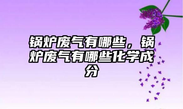 鍋爐廢氣有哪些，鍋爐廢氣有哪些化學(xué)成分