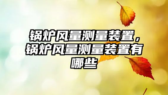 鍋爐風(fēng)量測量裝置，鍋爐風(fēng)量測量裝置有哪些