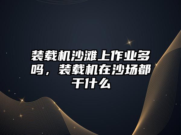 裝載機沙灘上作業(yè)多嗎，裝載機在沙場都干什么