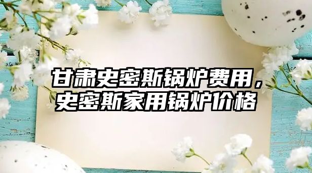 甘肅史密斯鍋爐費用，史密斯家用鍋爐價格