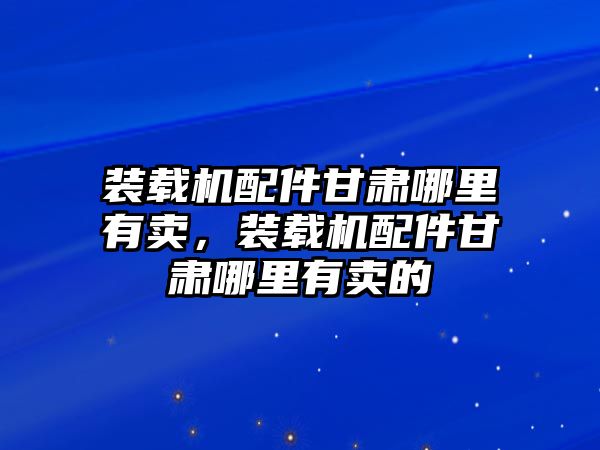 裝載機配件甘肅哪里有賣，裝載機配件甘肅哪里有賣的