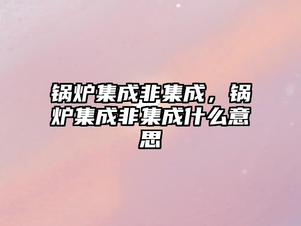 鍋爐集成非集成，鍋爐集成非集成什么意思