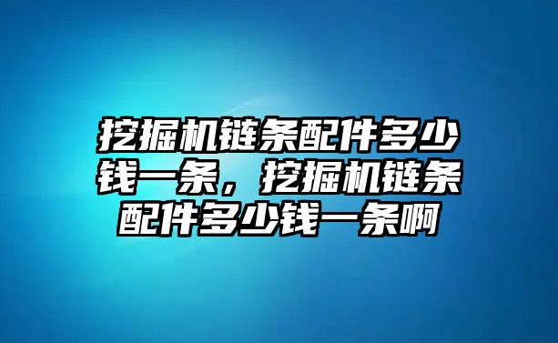 挖掘機(jī)鏈條配件多少錢一條，挖掘機(jī)鏈條配件多少錢一條啊