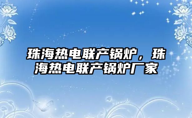 珠海熱電聯(lián)產(chǎn)鍋爐，珠海熱電聯(lián)產(chǎn)鍋爐廠家