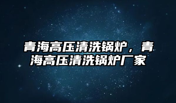 青海高壓清洗鍋爐，青海高壓清洗鍋爐廠家