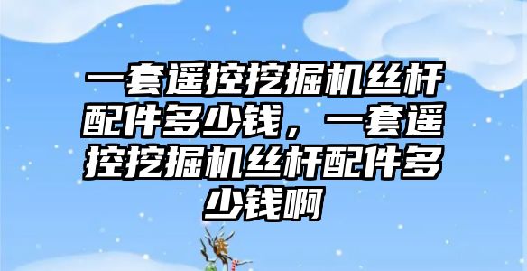 一套遙控挖掘機絲桿配件多少錢，一套遙控挖掘機絲桿配件多少錢啊