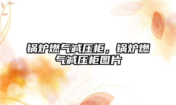 鍋爐燃?xì)鉁p壓柜，鍋爐燃?xì)鉁p壓柜圖片