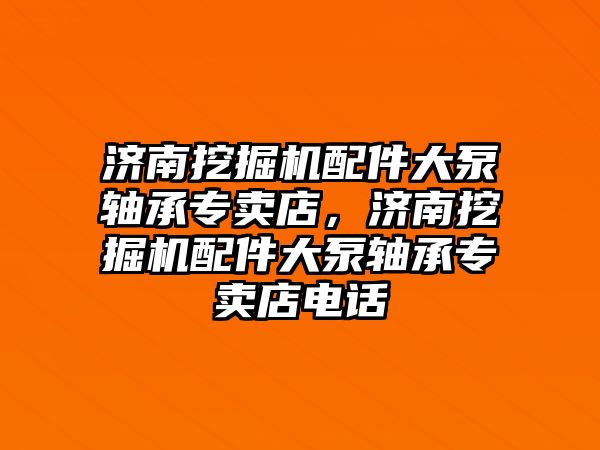 濟南挖掘機配件大泵軸承專賣店，濟南挖掘機配件大泵軸承專賣店電話