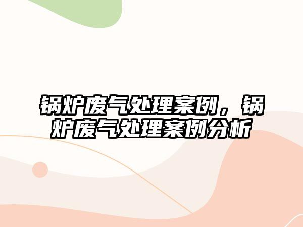 鍋爐廢氣處理案例，鍋爐廢氣處理案例分析