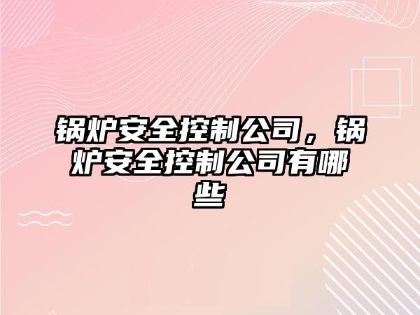 鍋爐安全控制公司，鍋爐安全控制公司有哪些