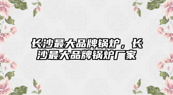 長沙最大品牌鍋爐，長沙最大品牌鍋爐廠家