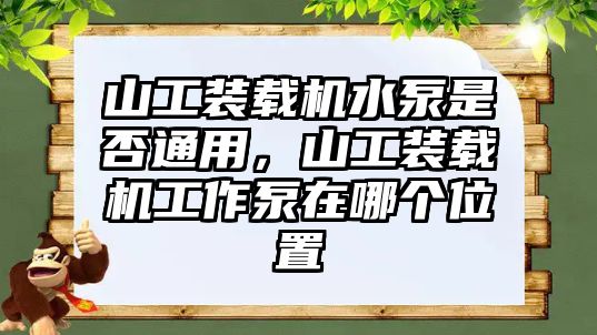 山工裝載機(jī)水泵是否通用，山工裝載機(jī)工作泵在哪個(gè)位置