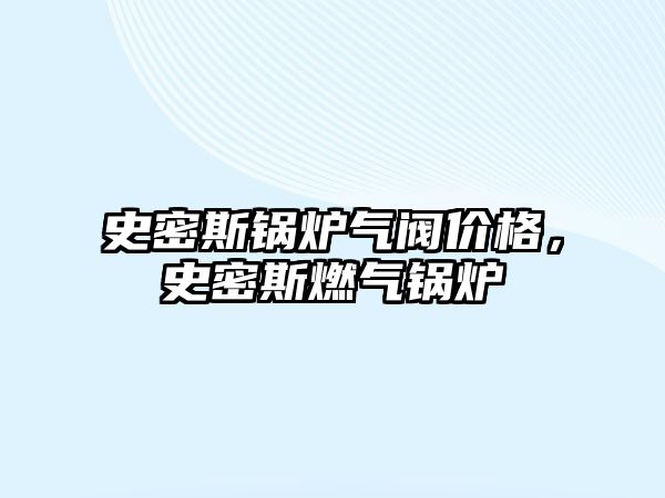 史密斯鍋爐氣閥價(jià)格，史密斯燃?xì)忮仩t