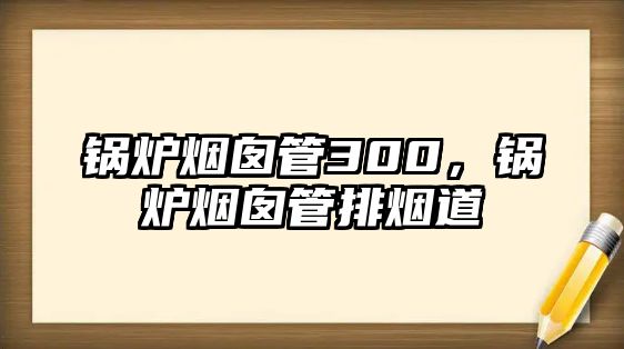 鍋爐煙囪管300，鍋爐煙囪管排煙道