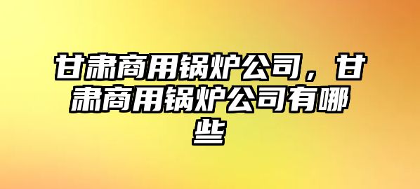 甘肅商用鍋爐公司，甘肅商用鍋爐公司有哪些