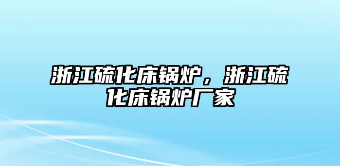 浙江硫化床鍋爐，浙江硫化床鍋爐廠家