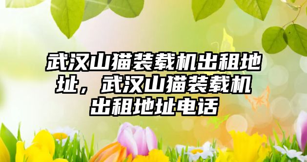 武漢山貓裝載機(jī)出租地址，武漢山貓裝載機(jī)出租地址電話