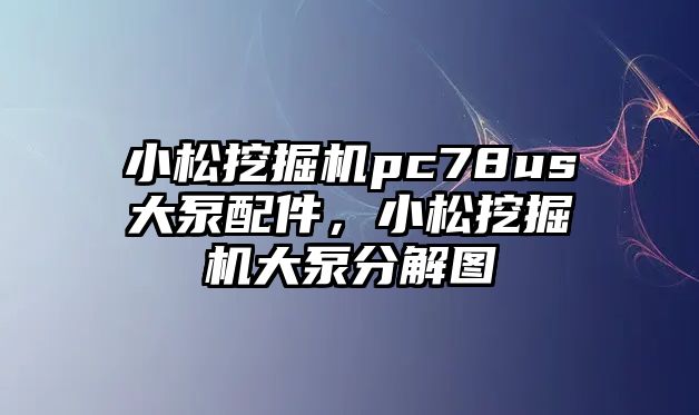 小松挖掘機pc78us大泵配件，小松挖掘機大泵分解圖