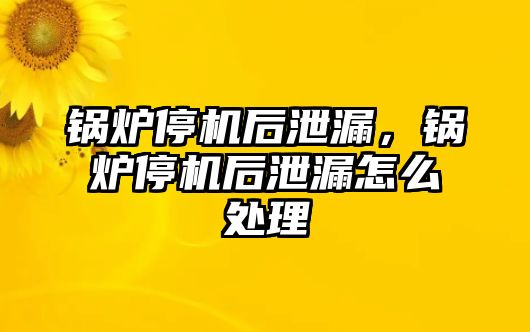 鍋爐停機(jī)后泄漏，鍋爐停機(jī)后泄漏怎么處理