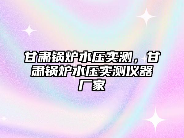 甘肅鍋爐水壓實測，甘肅鍋爐水壓實測儀器廠家