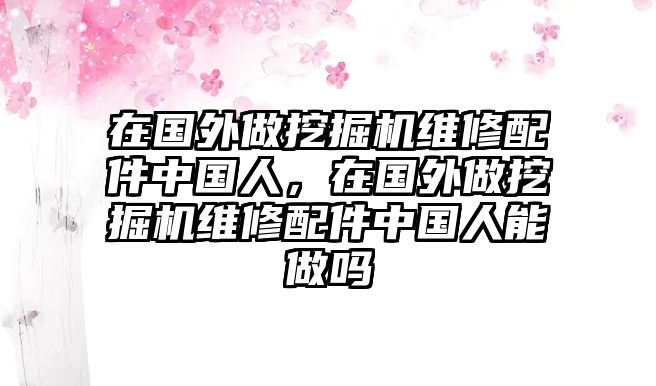 在國外做挖掘機(jī)維修配件中國人，在國外做挖掘機(jī)維修配件中國人能做嗎