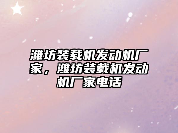 濰坊裝載機發(fā)動機廠家，濰坊裝載機發(fā)動機廠家電話