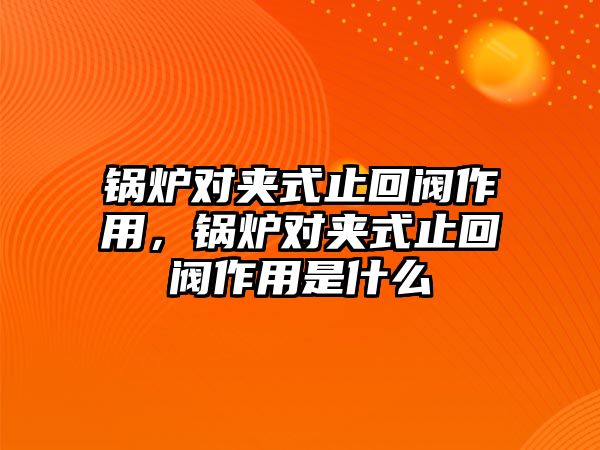 鍋爐對(duì)夾式止回閥作用，鍋爐對(duì)夾式止回閥作用是什么