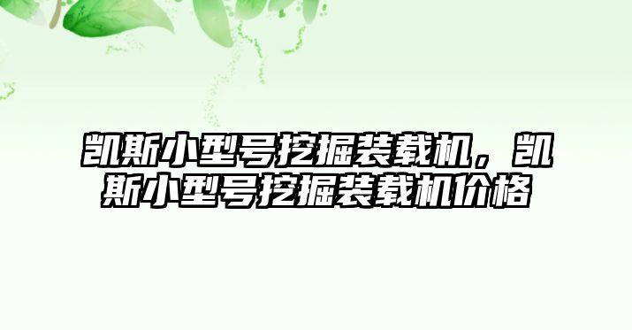 凱斯小型號挖掘裝載機(jī)，凱斯小型號挖掘裝載機(jī)價(jià)格