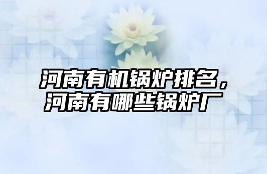 河南有機鍋爐排名，河南有哪些鍋爐廠