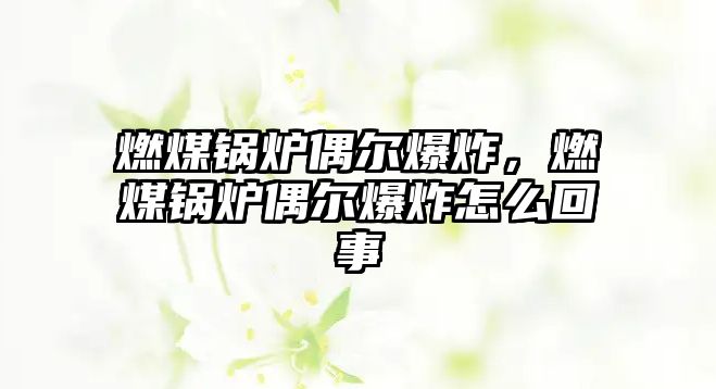 燃煤鍋爐偶爾爆炸，燃煤鍋爐偶爾爆炸怎么回事