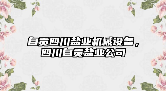 自貢四川鹽業(yè)機械設(shè)備，四川自貢鹽業(yè)公司