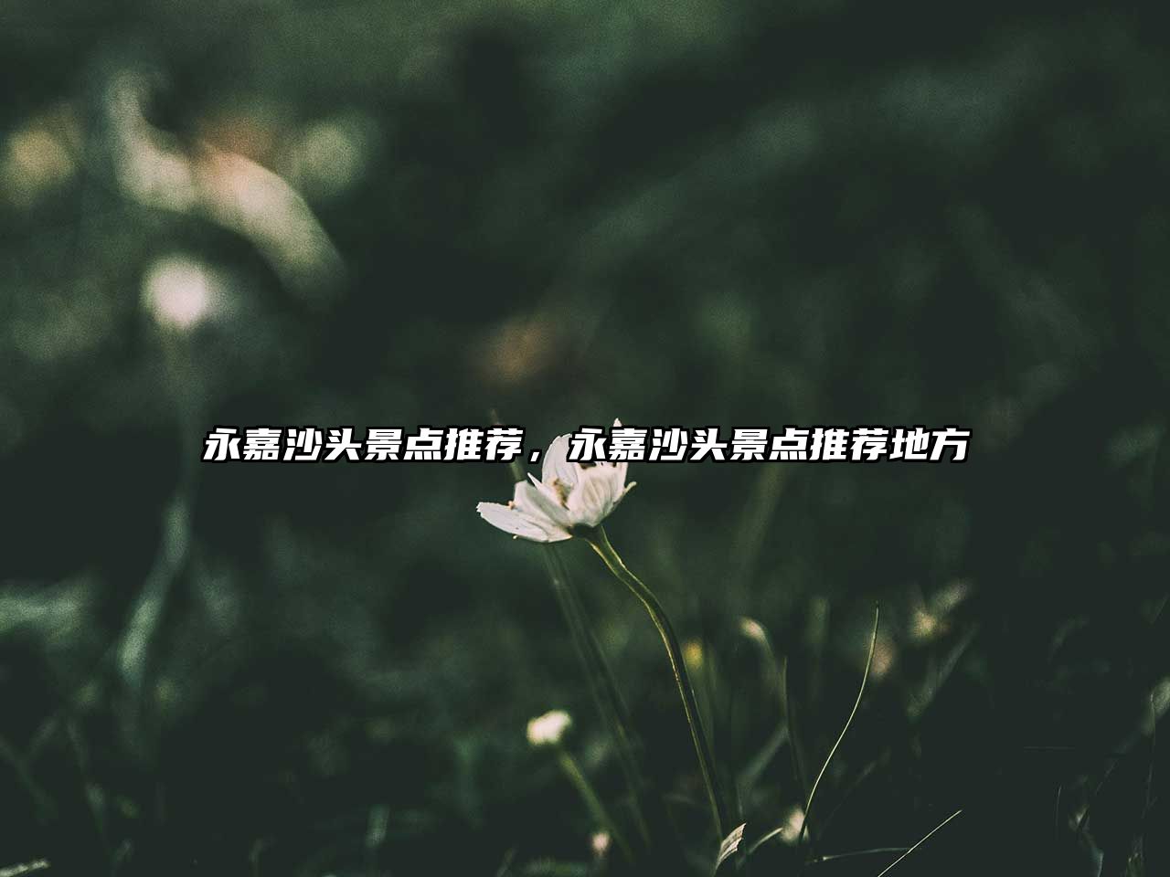 永嘉沙頭景點(diǎn)推薦，永嘉沙頭景點(diǎn)推薦地方