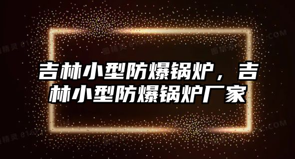 吉林小型防爆鍋爐，吉林小型防爆鍋爐廠家