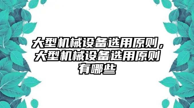 大型機械設(shè)備選用原則，大型機械設(shè)備選用原則有哪些