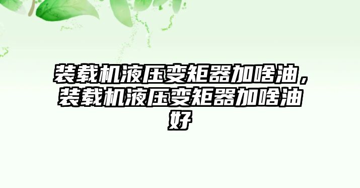 裝載機液壓變矩器加啥油，裝載機液壓變矩器加啥油好