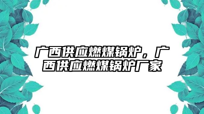 廣西供應(yīng)燃煤鍋爐，廣西供應(yīng)燃煤鍋爐廠家