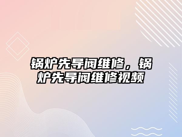 鍋爐先導(dǎo)閥維修，鍋爐先導(dǎo)閥維修視頻