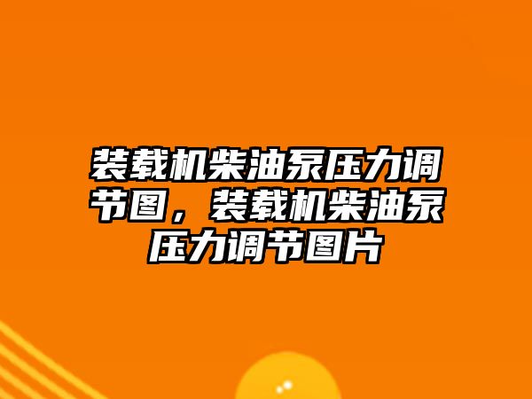 裝載機(jī)柴油泵壓力調(diào)節(jié)圖，裝載機(jī)柴油泵壓力調(diào)節(jié)圖片