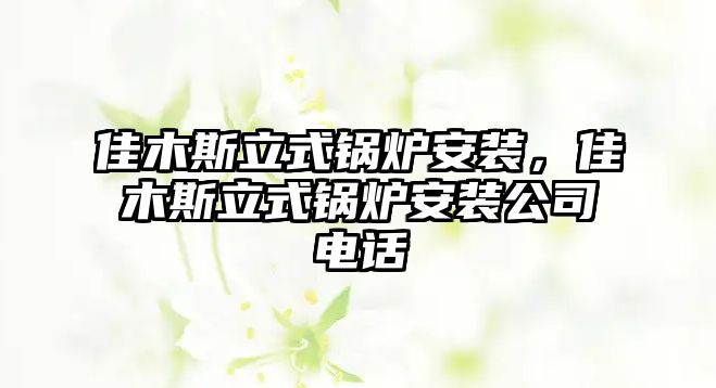 佳木斯立式鍋爐安裝，佳木斯立式鍋爐安裝公司電話