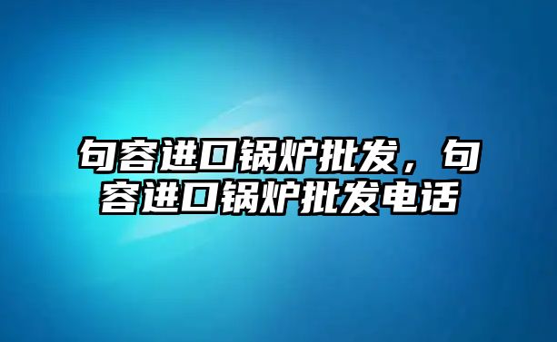 句容進口鍋爐批發(fā)，句容進口鍋爐批發(fā)電話