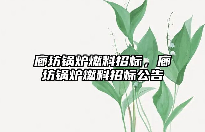 廊坊鍋爐燃料招標(biāo)，廊坊鍋爐燃料招標(biāo)公告