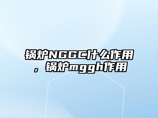 鍋爐NGGC什么作用，鍋爐mggh作用