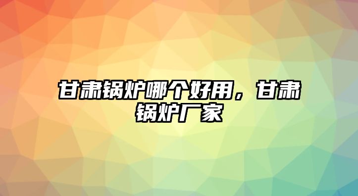 甘肅鍋爐哪個(gè)好用，甘肅鍋爐廠家