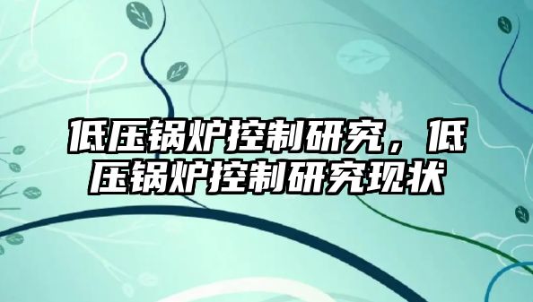 低壓鍋爐控制研究，低壓鍋爐控制研究現(xiàn)狀