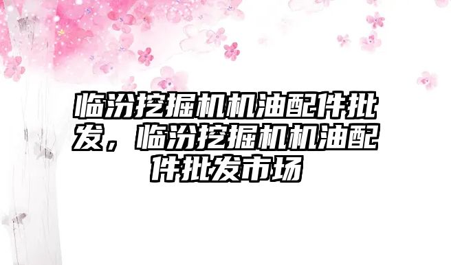 臨汾挖掘機機油配件批發(fā)，臨汾挖掘機機油配件批發(fā)市場